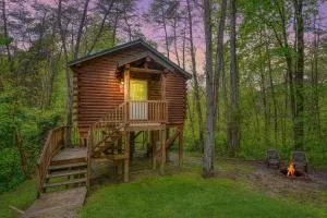Blue Rose Cabins - Treetops Cabin - Логан
