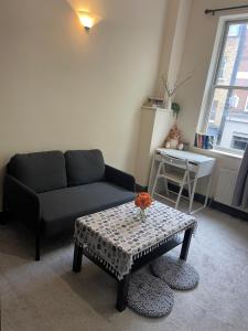 Cosy Apartment in London Kings Cross