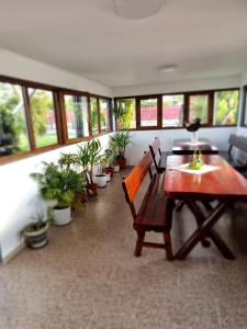 Casa cu Trandafiri Murighiol