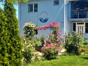 Casa cu Trandafiri Murighiol