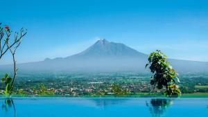 Amaranta Prambanan Yogyakarta