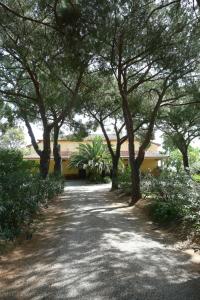 PODERE OSLAVIA AZ.AGR.BIO GIANNINI