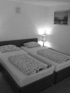 Double Room room in Prenociste Zan
