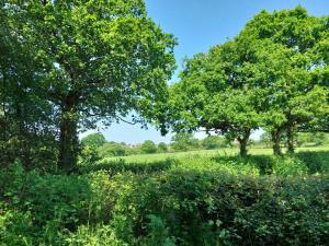 Serenity in Somerset Self Catering House Rental Near Chard , Accomodation for Contract Workers only