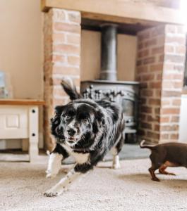 NEW Thirsk Stays - Herriots Hideaway