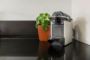 VAQUAY Verge In Brunswick East