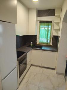 Apartman Pavic