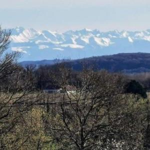 létoile dAdour