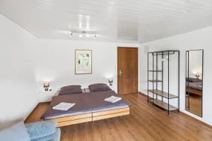 FENUS Studio Wildhaus an der Piste SGT09 - Wildhaus