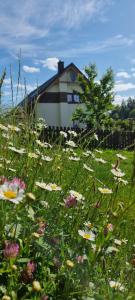 Noclegi u Babci Gieni