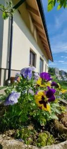 Noclegi u Babci Gieni - Cisiec