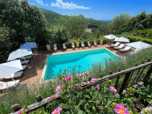 Luxurious Umbrian Retreat for 10 with Private Terrace and Pool