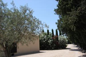 B&B / Chambres d'hotes Mas Paloma : photos des chambres