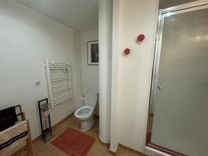 Appartements Joli Studio au calme mais proche gare et bus : photos des chambres