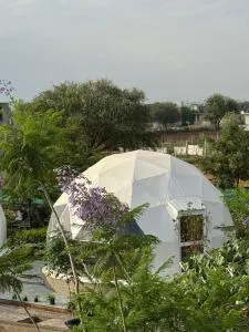 Nature life farm - Sāmod