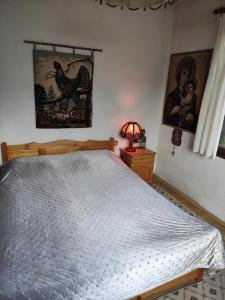 Guest house Charodea