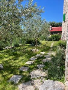 Villa Ana with jacuzzi & swimming pool