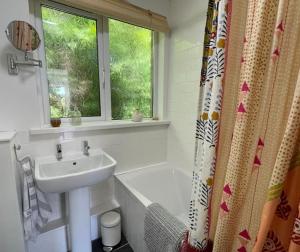 Shearwater, Moor and Sea Holidays, lovely tranquil space between Exmoor and the North Devon Coast