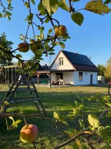 Domek w Tleniu - Stara Rzeka