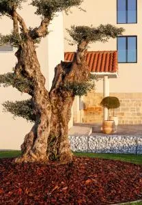 HOTEL RURAL FINCA LA DESA - Don Álvaro