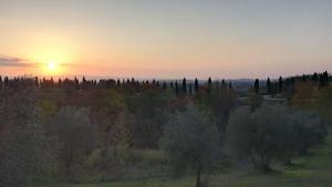 Rododendro casa sulle colline Toscane vicino San Giminiano
