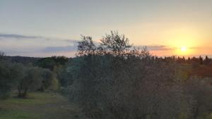 Rododendro casa sulle colline Toscane vicino San Giminiano