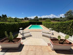 Trulli and Pool - I Cactus