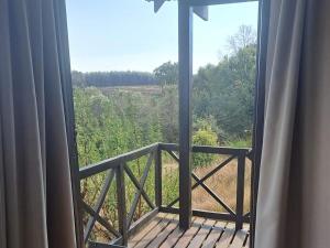 Midlands Forest Lodge