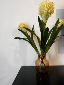 Relax nad Narwią u Oli I Pawła