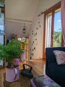 Maisons d'hotes Les Vieilles Aitres : photos des chambres
