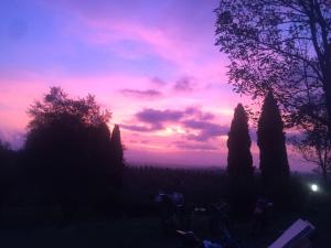 Rododendro casa sulle colline Toscane vicino San Giminiano
