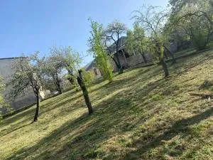 S&S Guest House - Arjut