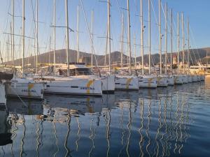 Punta Planka Premium Apartment with Sea View