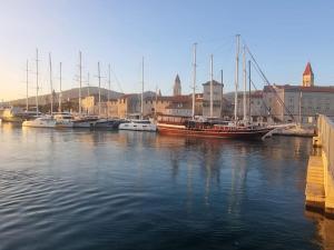 Punta Planka Premium Apartment with Sea View