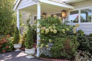 Hamlet Inn - PASSES TO COOPERS BEACH