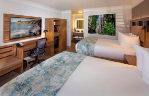 Deluxe Queen Room with Two Queen Beds - Non-Smoking room in Best Western Plus Humboldt Bay Inn