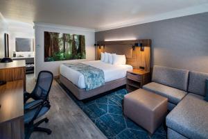 Deluxe King Room - Non-Smoking room in Best Western Plus Humboldt Bay Inn