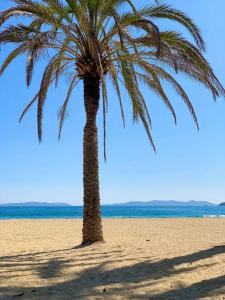 Appartements SELECT-soHOME - Duplex au coeur du Lavandou avec parking ! - VISTA MARE : photos des chambres