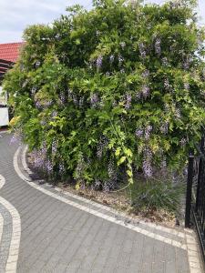 OSTOJA SŁAWIANOWO nad jeziorem