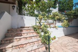 Andromaches single studio