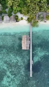 TABARI DIVE LODGE - Sageurin