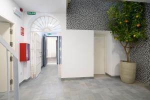 Naranjas y Limones Sevilla, by Homing U