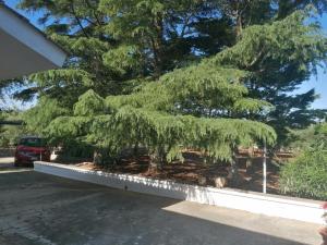 villetta immersa nel verde