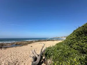 Surfbay Sands 68 - Shelly Beach