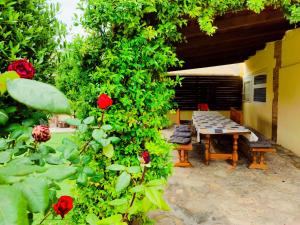 Casa rural Cal Codina