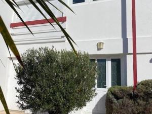 Maisons de vacances Maison de vacances avec terrasse, jardin, garage, animaux acceptes a Royan - FR-1-494-116 : photos des chambres