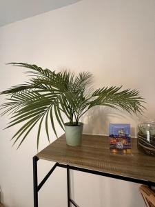 Appartements ORLEANS BORD DE LOIRE - Etablissement avec 3 studios - Le Quai Saint Laurent - BY PRIMO C0NCIERGERIE : photos des chambres