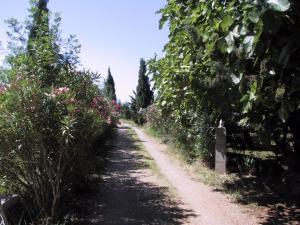 Villas Romantische Bauernhofvilla inmitten der Weinberge : photos des chambres