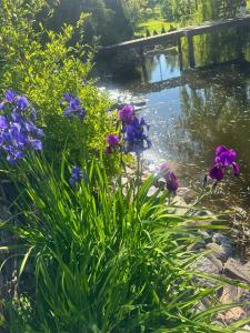 Dom wczasowy Rychertówka