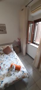 Pan di Zucchero img27